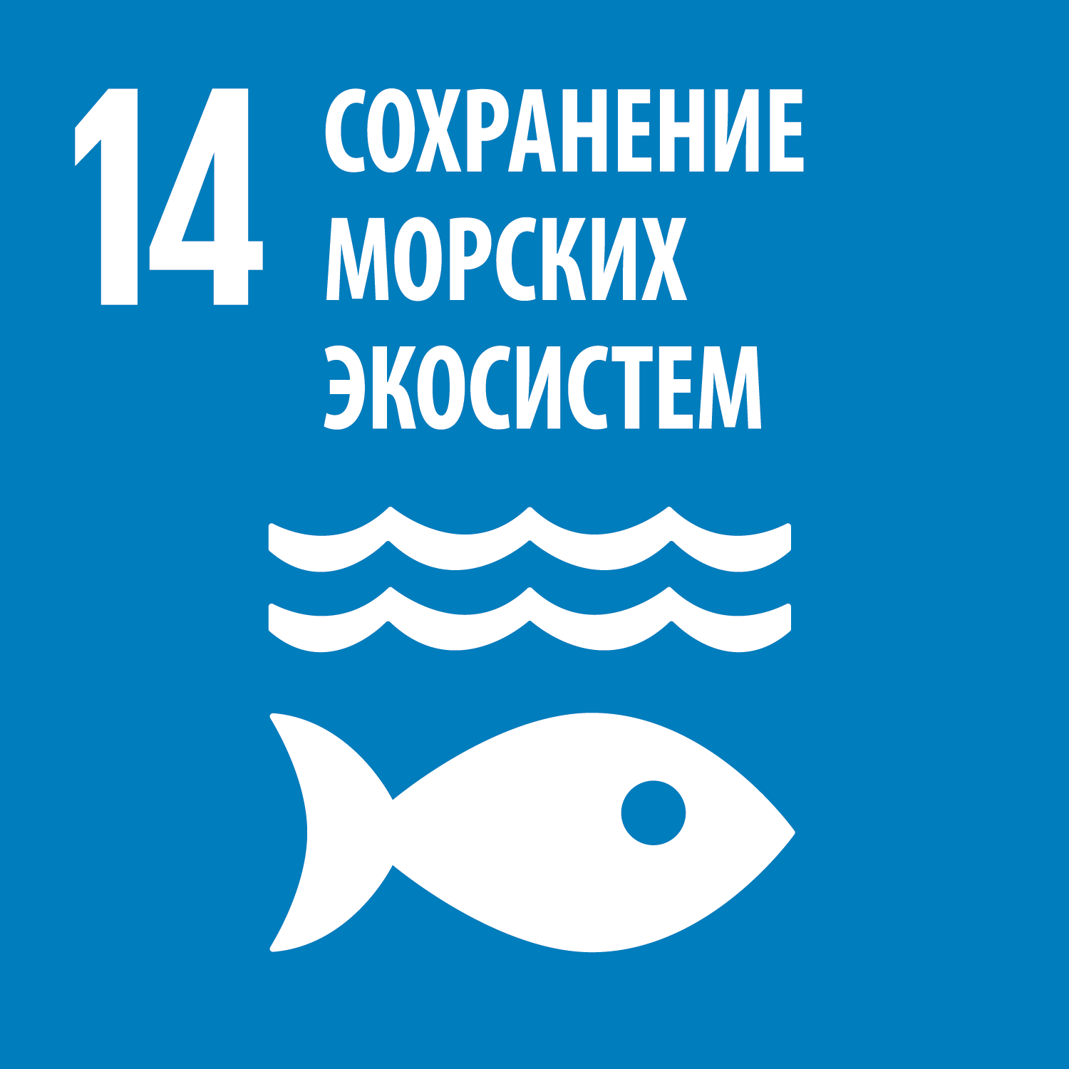 Цель 14 - Сохранение и рациональное использование океанов, морей и морских ресурсов в интересах устойчивого развития